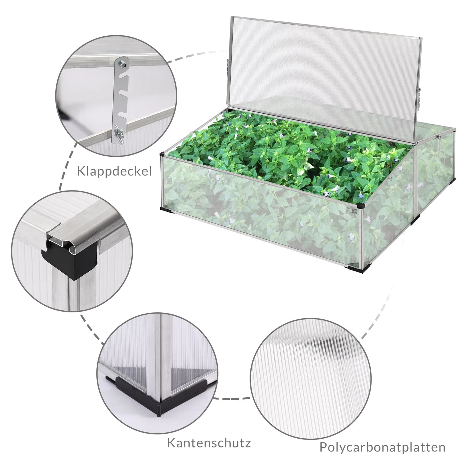 Tomatenhaus / Frühbeet 110x110cm M6 6 Tomatenhaus / Frühbeet 110x110cm M6 – Bild 4