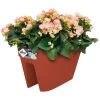 Elho Blumentopf Terrakotta 50x26x29cm -Gartenmöbel Und Dekoration Geschäft 17878f62d0829bc667012fdb8dd7a20b a de 193640g 1