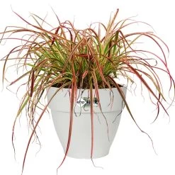 Elho Blumentopf Weiß 30x25cm 11,3L