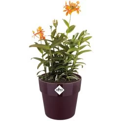 Elho Blumentopf Maulbeere 30x27cm 13,3L 8 Elho Blumentopf Maulbeere 30x27cm 13,3L -Gartenmöbel Und Dekoration Geschäft 27d7b15e45d8cb9b3aa98fdd2a8dd70f a de 193651g 1