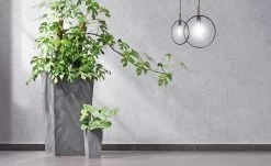 Blumentopf Betonoptik Grau 49L 9 Blumentopf Betonoptik Grau 49L -Gartenmöbel Und Dekoration Geschäft 6676197c8e319452b55e786939f3d788 de 881771d 1 1 4