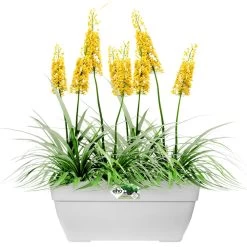 Elho Blumentopf Weiß 80x33x35cm 63L