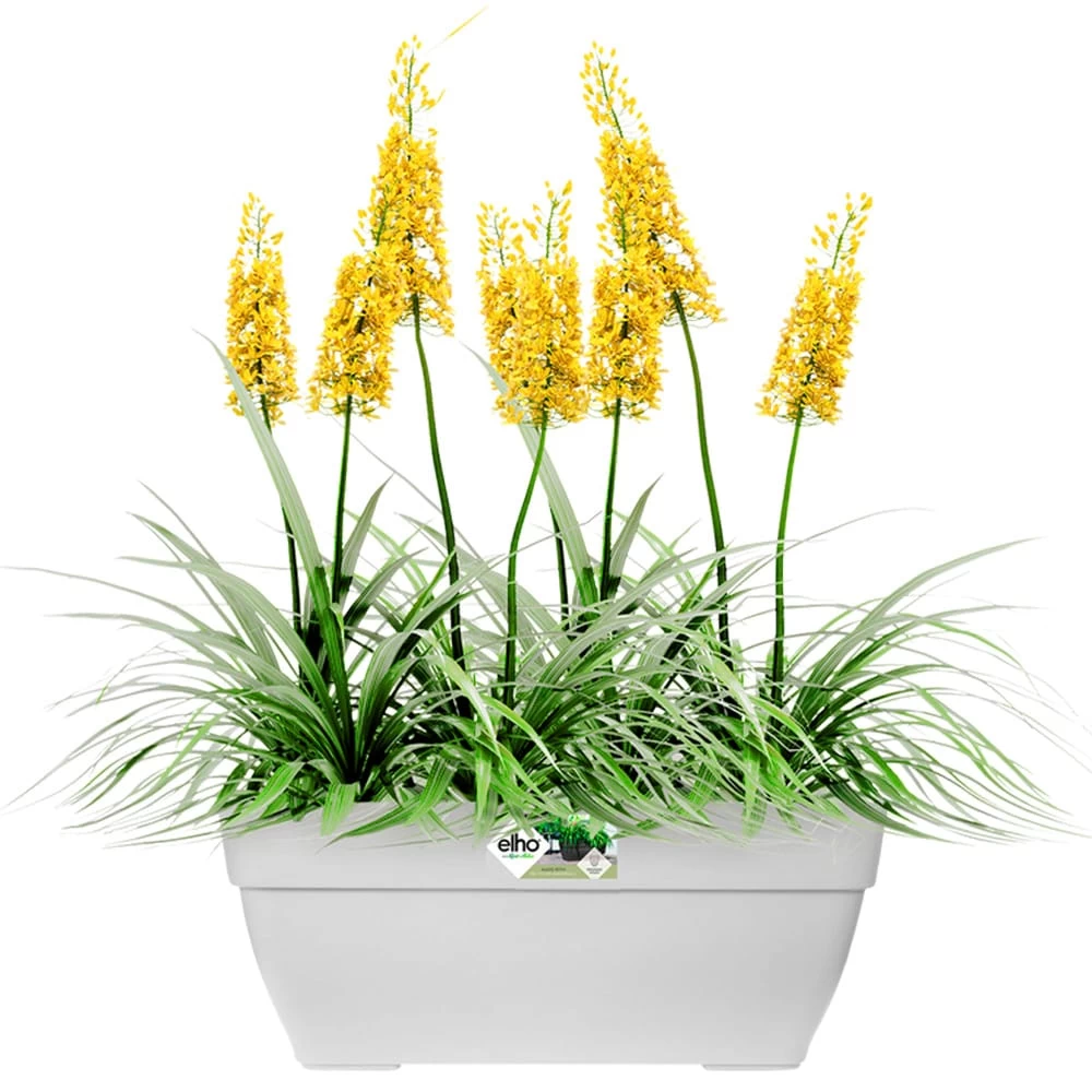 Elho Blumentopf Weiß 80x33x35cm 63L 3 Elho Blumentopf Weiß 80x33x35cm 63L