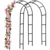 Rosenbogen 2er-Set Schwarz 240x37x140cm -Gartenmöbel Und Dekoration Geschäft 8e5df73e809a3767f5f58db99ee90ac4 a de 990457g1 1