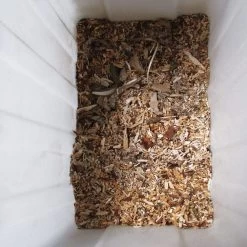 Leisehäcksler 3.159W Mit Sammelbeutel 60L 17 Leisehäcksler 3.159W Mit Sammelbeutel 60L -Gartenmöbel Und Dekoration Geschäft 97e217ce839f958c3a2981256e7f84d7 de 106535d 9