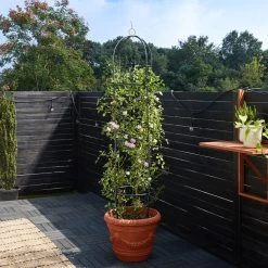 Rosensäule 2er-Set Schwarz 200x40cm 15 Rosensäule 2er-Set Schwarz 200x40cm -Gartenmöbel Und Dekoration Geschäft 995eef779fc00b0782b78b2e188aa6db de 101491d 6 1