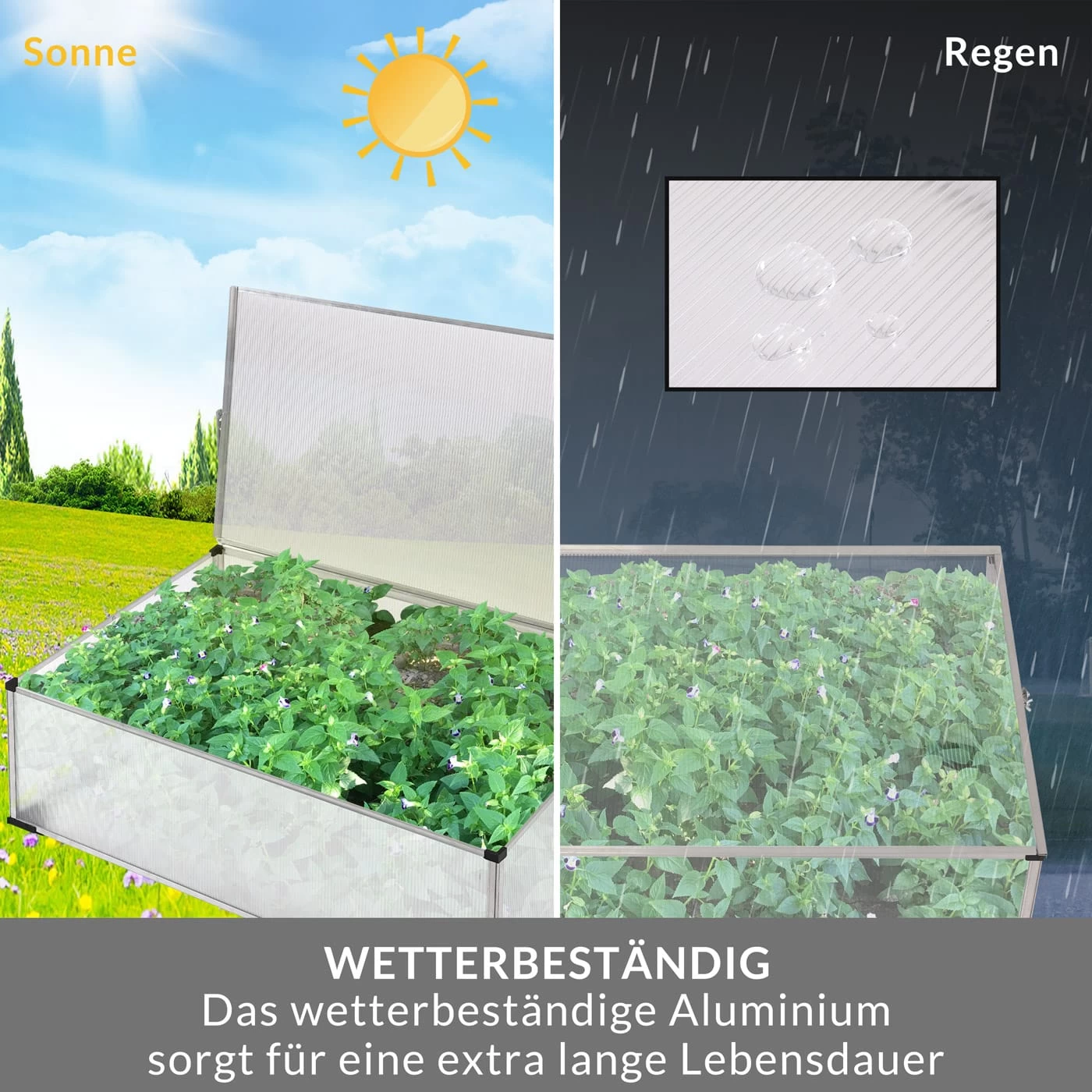 Alu Frühbeet 100x60cm 4 Alu Frühbeet 100x60cm – Bild 2