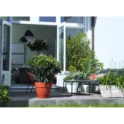 Elho Blumentopf Weiß 80x33x35cm 63L 9 Elho Blumentopf Weiß 80x33x35cm 63L -Gartenmöbel Und Dekoration Geschäft a85e8c484468cbc19909ce2a22fffba6 de 193675d 4 1