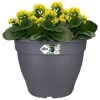 Elho Blumentopf Anthrazit 35x26cm 11,8L 2 Elho Blumentopf Anthrazit 35x26cm 11,8L -Gartenmöbel Und Dekoration Geschäft aa9182b9374142f57e9aa2442d5e3e16 a de 193665g 2