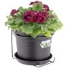 Elho Blumentopf Schwarz 20x18cm 2,5L Mit Halterung -Gartenmöbel Und Dekoration Geschäft b72fe11d5a9a22e0c2496e92a37b8d56 a de 193661g 1 1