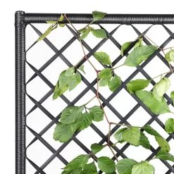 Polyrattan Blumenkasten Mit Rankgitter Schwarz 15 Polyrattan Blumenkasten Mit Rankgitter Schwarz -Gartenmöbel Und Dekoration Geschäft cd0a4844923ef18e3d37c123ab1c345c de 108065d 7 1