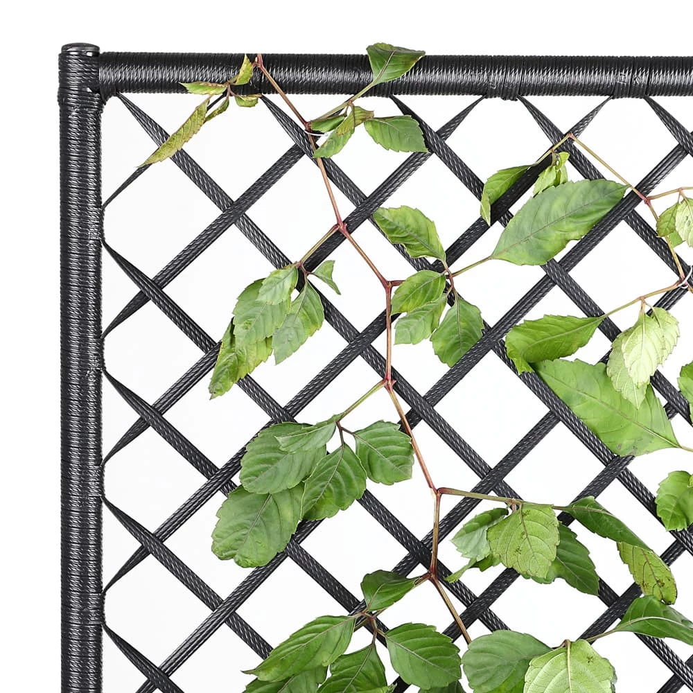 Polyrattan Blumenkasten Mit Rankgitter Schwarz 8 Polyrattan Blumenkasten Mit Rankgitter Schwarz – Bild 6