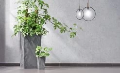 Blumentopf Betonoptik Anthrazit 49L 9 Blumentopf Betonoptik Anthrazit 49L -Gartenmöbel Und Dekoration Geschäft cea03a71d37cf834234c3fe1a0d17ae3 de 881771d 1 1 3