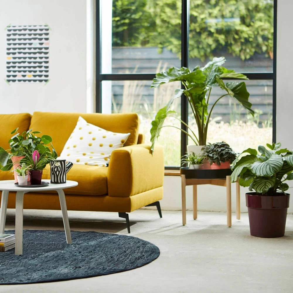 Elho Blumentopf Maulbeere 30x27cm 13,3L 4 Elho Blumentopf Maulbeere 30x27cm 13,3L – Bild 2