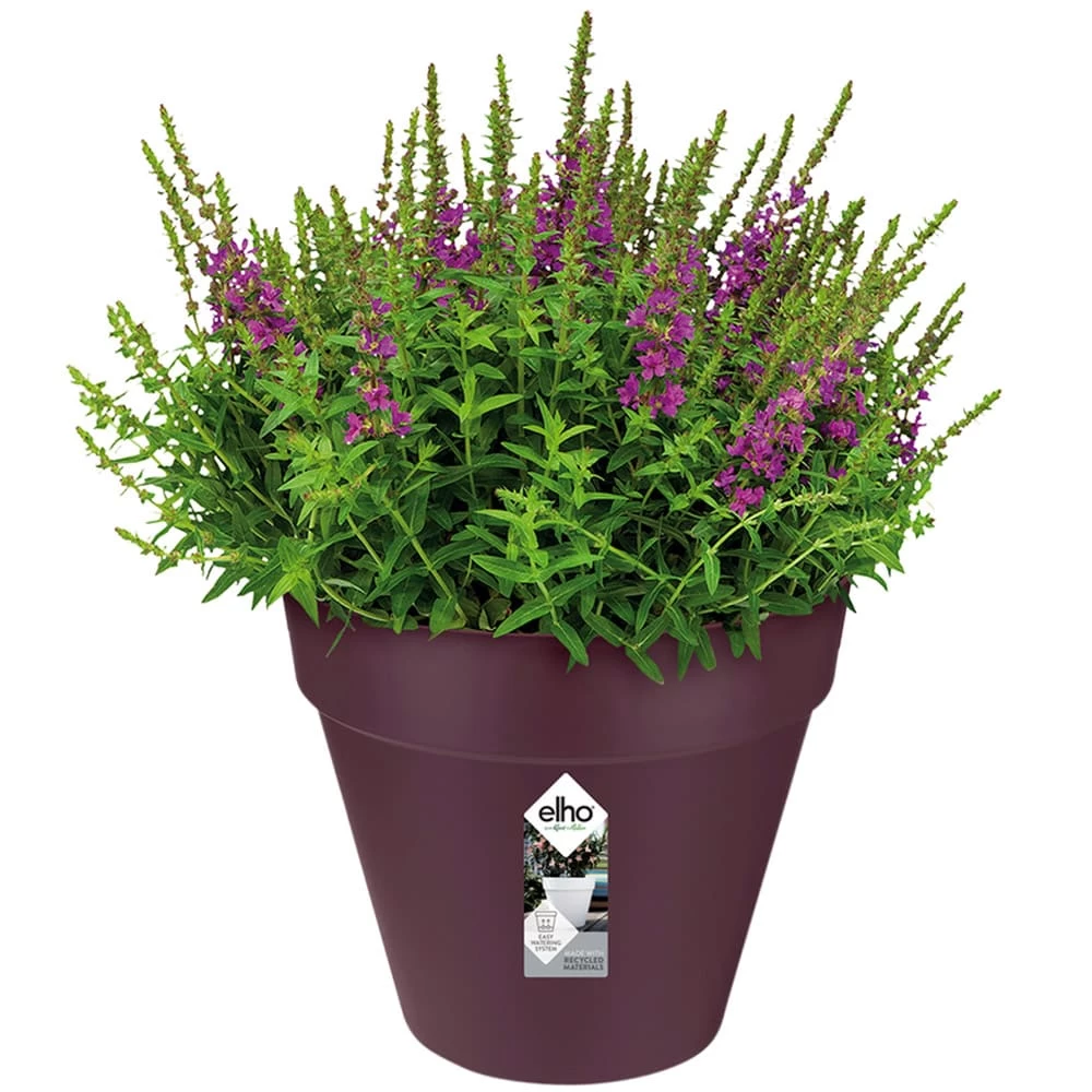 Elho Blumentopf Maulbeere Matt 25x22cm 5,5L 3 Elho Blumentopf Maulbeere Matt 25x22cm 5,5L