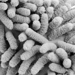 Felgen-Reinigungsbürste Grau Microfaser 34cm 14 Felgen-Reinigungsbürste Grau Microfaser 34cm -Gartenmöbel Und Dekoration Geschäft debbf6fc456faed2b3693d463def0f10 de 105749d 3 1