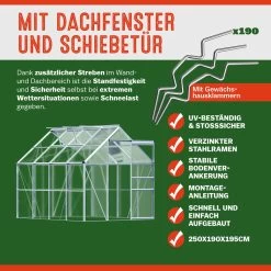 Alu Gewächshaus 250x190x195cm 2 Dachfenster 12 Alu Gewächshaus 250x190x195cm 2 Dachfenster -Gartenmöbel Und Dekoration Geschäft e28df333f9e600cb02955051e74f47e2 03 991467 on dts web low de 1