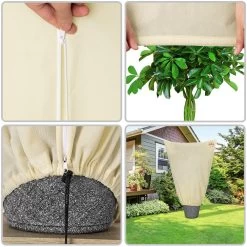 Pflanzenschutzhaube 3er-Set Beige 1x0,8m -Gartenmöbel Und Dekoration Geschäft ea145c41688be986a7ed0826718d515d de 882190d 3 1 1 4