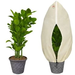 Pflanzenschutzhaube Beige 1,2x1,8m -Gartenmöbel Und Dekoration Geschäft efe87a01819c07a19b046a87e6d09347 de 882190d 9 3