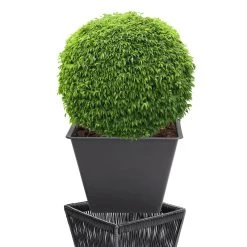 Blumenkasten Acapulco 2er-Set Schwarz 36x36x40cm -Gartenmöbel Und Dekoration Geschäft f43a46555a292399d3351b8724daa8ca de 108061d 10 1