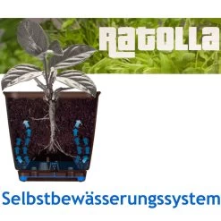 Balkonkasten Ratolla Weiß 49x16x17,5cm 8 Balkonkasten Ratolla Weiß 49x16x17,5cm -Gartenmöbel Und Dekoration Geschäft fd05a767246d58b9ca964fad7e2c2334 de 880701d 1 3