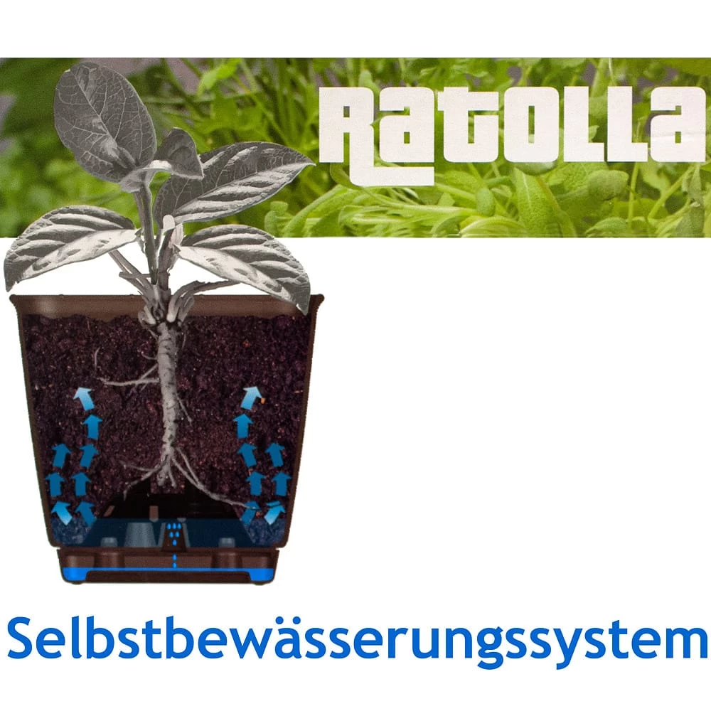 Balkonkasten Ratolla Umbra 39x16x14,5cm 5 Balkonkasten Ratolla Umbra 39x16x14,5cm – Bild 4