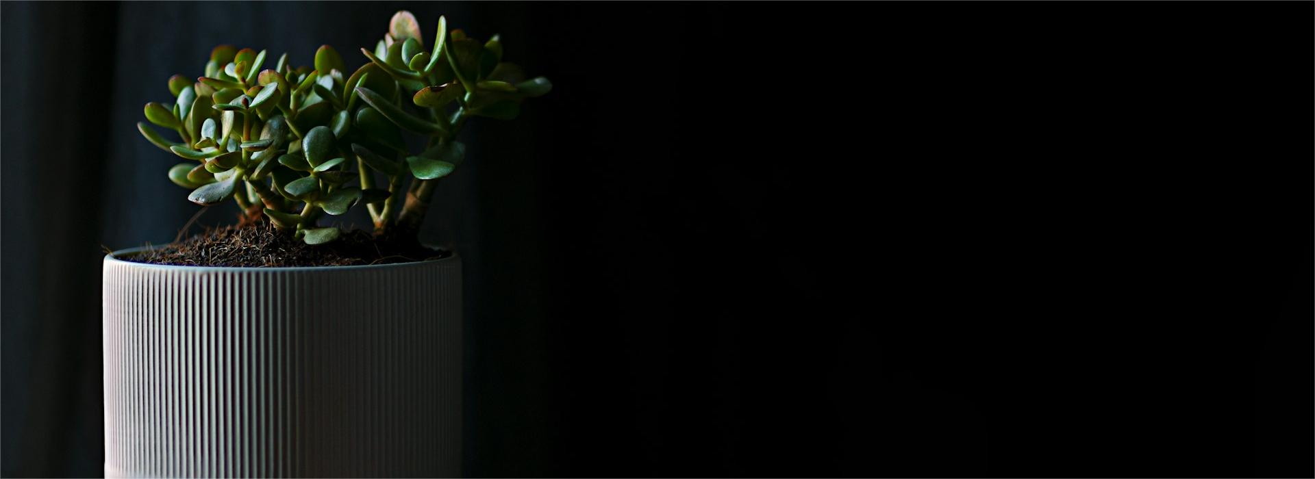 Gartenmöbel Und Dekoration Geschäft -Gartenmöbel Und Dekoration Geschäft victor furtuna PUm6SDNRPEo unsplash